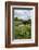 Wind Pump, Charlock (Sinapis Arvensis) Flowering in the Foreground, Wicken Fen, Cambridgeshire, UK-Terry Whittaker-Framed Photographic Print