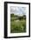 Wind Pump, Charlock (Sinapis Arvensis) Flowering in the Foreground, Wicken Fen, Cambridgeshire, UK-Terry Whittaker-Framed Photographic Print