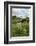 Wind Pump, Charlock (Sinapis Arvensis) Flowering in the Foreground, Wicken Fen, Cambridgeshire, UK-Terry Whittaker-Framed Photographic Print