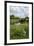 Wind Pump, Charlock (Sinapis Arvensis) Flowering in the Foreground, Wicken Fen, Cambridgeshire, UK-Terry Whittaker-Framed Photographic Print