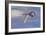 Wind Rider-Bruce Dumas-Framed Giclee Print