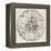 Wind Rose Old Illustration-marzolino-Framed Stretched Canvas