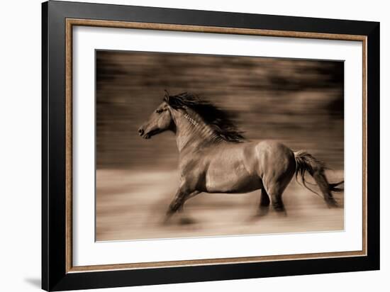 Wind Runner-Lisa Dearing-Framed Photographic Print