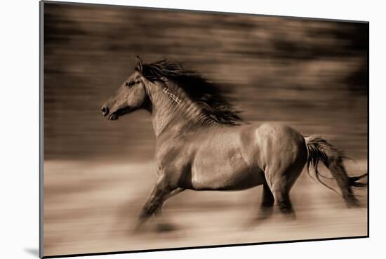 Wind Runner-Lisa Dearing-Mounted Photographic Print