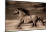 Wind Runner-Lisa Dearing-Mounted Photographic Print