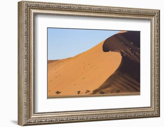 Wind sculpted, towering sand dunes of Sossusvlei in Namib-Naukluft National Park, Namibia.-Brenda Tharp-Framed Photographic Print