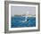 Wind Surfing at Santa Maria on the Island of Sal (Salt), Cape Verde Islands, Africa-R H Productions-Framed Photographic Print