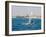 Wind Surfing at Santa Maria on the Island of Sal (Salt), Cape Verde Islands, Africa-R H Productions-Framed Photographic Print