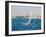 Wind Surfing at Santa Maria on the Island of Sal (Salt), Cape Verde Islands, Africa-R H Productions-Framed Photographic Print