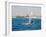 Wind Surfing at Santa Maria on the Island of Sal (Salt), Cape Verde Islands, Africa-R H Productions-Framed Photographic Print