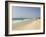 Wind Surfing at Santa Maria on the Island of Sal (Salt), Cape Verde Islands, Africa-R H Productions-Framed Photographic Print