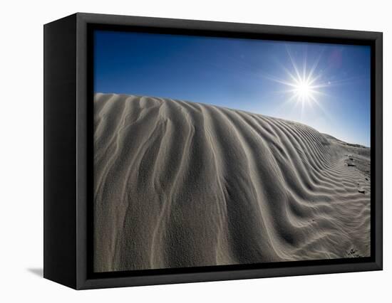Wind swept barkhan sand dunes on the barrier island of Isla Magdalena, Baja California Sur, Mexico-Michael Nolan-Framed Premier Image Canvas