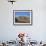 Wind Turbine Generators, Tehachapi, CA-Mark Gibson-Framed Photographic Print displayed on a wall