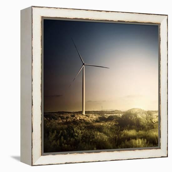 Wind Turbine in a Field in the Evening, Sardinia, Italy-null-Framed Premier Image Canvas