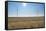 Wind Turbine in Wheat Field, Wuerzburg, Franconia, Bavaria, Germany-Raimund Linke-Framed Stretched Canvas