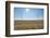 Wind Turbine in Wheat Field, Wuerzburg, Franconia, Bavaria, Germany-Raimund Linke-Framed Photographic Print