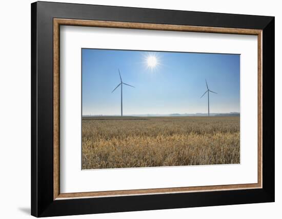 Wind Turbine in Wheat Field, Wuerzburg, Franconia, Bavaria, Germany-Raimund Linke-Framed Photographic Print