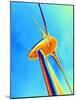 Wind Turbine-PASIEKA-Mounted Photographic Print
