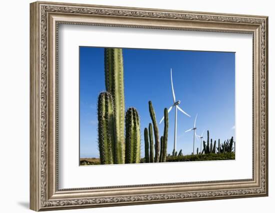Wind Turbines and Cactus at Aruba-null-Framed Photographic Print