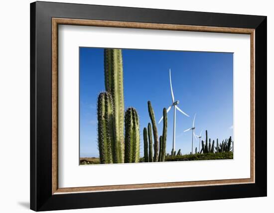 Wind Turbines and Cactus at Aruba-null-Framed Photographic Print