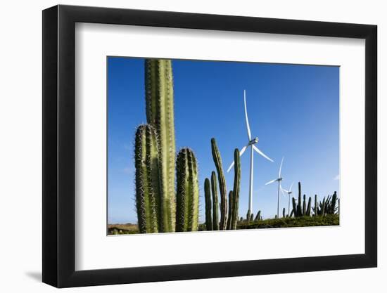 Wind Turbines and Cactus at Aruba-null-Framed Photographic Print