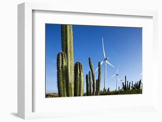 Wind Turbines and Cactus at Aruba-null-Framed Photographic Print