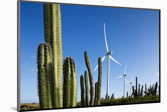 Wind Turbines and Cactus at Aruba-null-Mounted Photographic Print