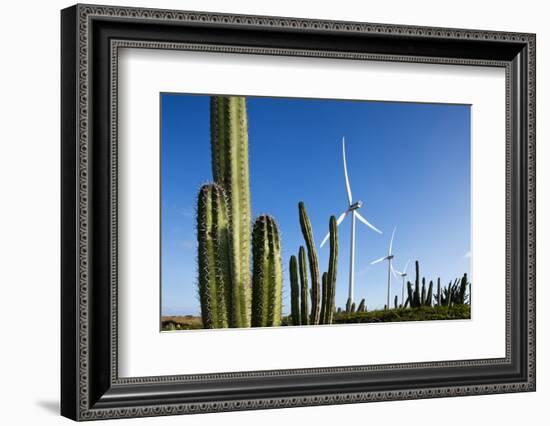 Wind Turbines and Cactus at Aruba-null-Framed Photographic Print