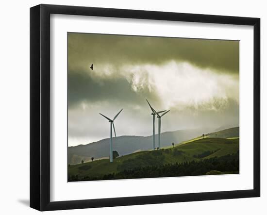 Wind Turbines and Soaring Bird of Prey, Ruahine Ranges, Manawatu, North Island, New Zealand-Smith Don-Framed Photographic Print