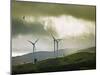 Wind Turbines and Soaring Bird of Prey, Ruahine Ranges, Manawatu, North Island, New Zealand-Smith Don-Mounted Photographic Print