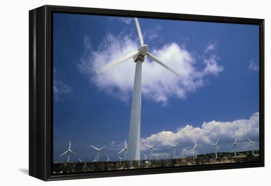 Wind Turbines At Power Station, Hawaii-David Nunuk-Framed Premier Image Canvas