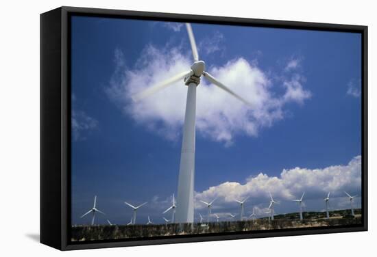 Wind Turbines At Power Station, Hawaii-David Nunuk-Framed Premier Image Canvas