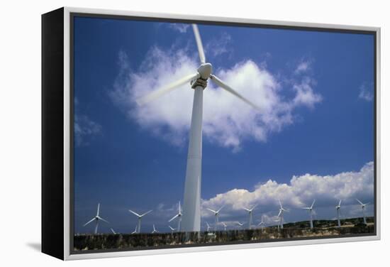 Wind Turbines At Power Station, Hawaii-David Nunuk-Framed Premier Image Canvas