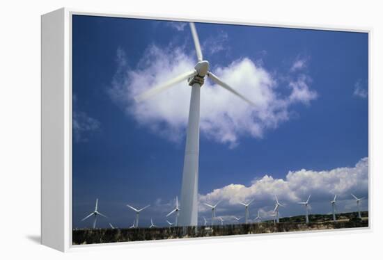 Wind Turbines At Power Station, Hawaii-David Nunuk-Framed Premier Image Canvas