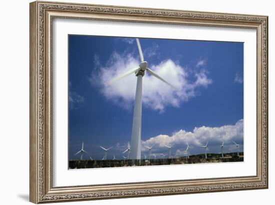 Wind Turbines At Power Station, Hawaii-David Nunuk-Framed Photographic Print
