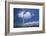 Wind Turbines At Power Station, Hawaii-David Nunuk-Framed Photographic Print