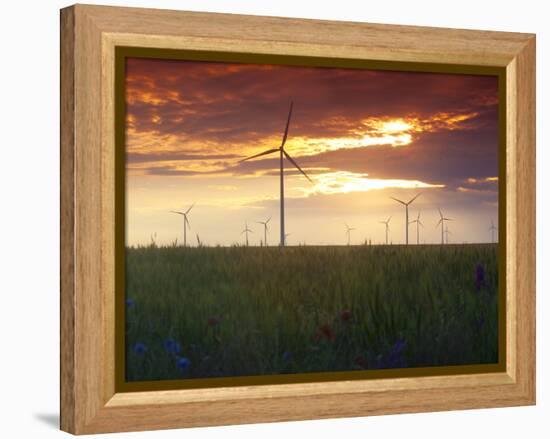 Wind Turbines at Sunset, Kavarna Wind Farm, Kavarna, Bulgaria, Europe-Dallas & John Heaton-Framed Premier Image Canvas