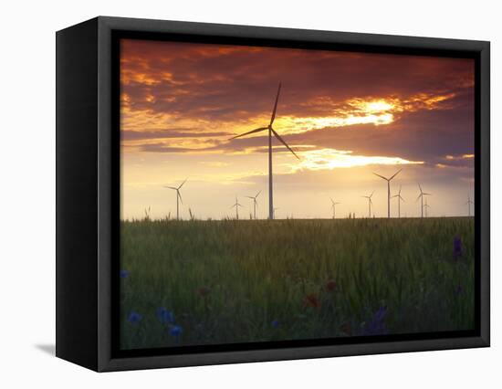 Wind Turbines at Sunset, Kavarna Wind Farm, Kavarna, Bulgaria, Europe-Dallas & John Heaton-Framed Premier Image Canvas