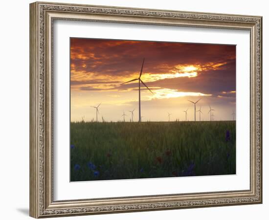 Wind Turbines at Sunset, Kavarna Wind Farm, Kavarna, Bulgaria, Europe-Dallas & John Heaton-Framed Photographic Print