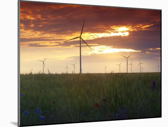 Wind Turbines at Sunset, Kavarna Wind Farm, Kavarna, Bulgaria, Europe-Dallas & John Heaton-Mounted Photographic Print