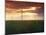 Wind Turbines at Sunset, Kavarna Wind Farm, Kavarna, Bulgaria, Europe-Dallas & John Heaton-Mounted Photographic Print