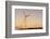 Wind turbines at sunset, Whitelee Wind Farm, East Renfrewshire, Scotland, United Kingdom, Europe-John Guidi-Framed Photographic Print