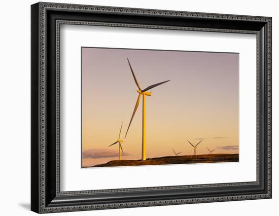 Wind turbines at sunset, Whitelee Wind Farm, East Renfrewshire, Scotland, United Kingdom, Europe-John Guidi-Framed Photographic Print