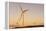 Wind turbines at sunset, Whitelee Wind Farm, East Renfrewshire, Scotland, United Kingdom, Europe-John Guidi-Framed Premier Image Canvas