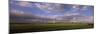 Wind Turbines in a Field, Baden-Wurttemberg, Germany-null-Mounted Photographic Print