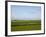 Wind Turbines in South Jutland, Denmark, Scandinavia, Europe-Yadid Levy-Framed Photographic Print