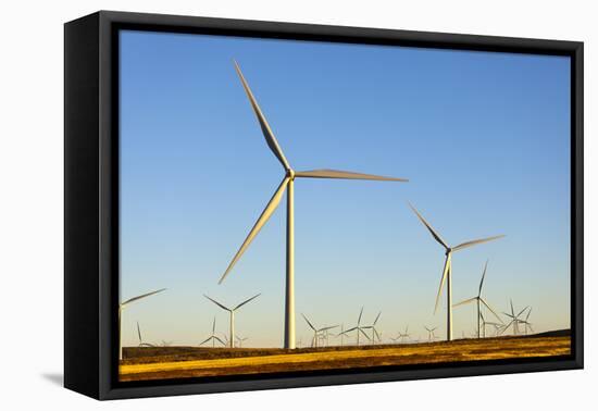 Wind Turbines, Whitelee Wind Farm, East Renfrewshire, Scotland, United Kingdom, Europe-John Guidi-Framed Premier Image Canvas