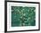 Wind White Leaves-Domenick Turturro-Framed Serigraph