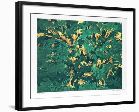 Wind White Leaves-Domenick Turturro-Framed Serigraph