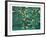 Wind White Leaves-Domenick Turturro-Framed Serigraph